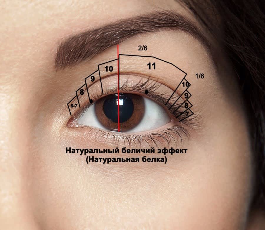 Натуральная белка